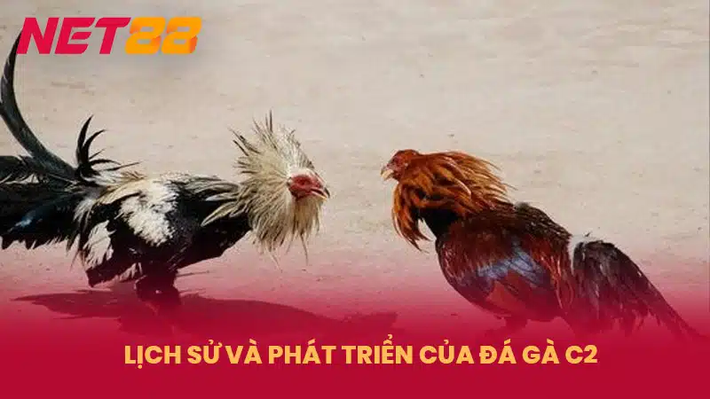 Lịch sử và phát triển của Đá Gà C2