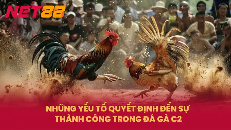 Những yếu tố quyết định đến sự thành công trong Đá Gà C2