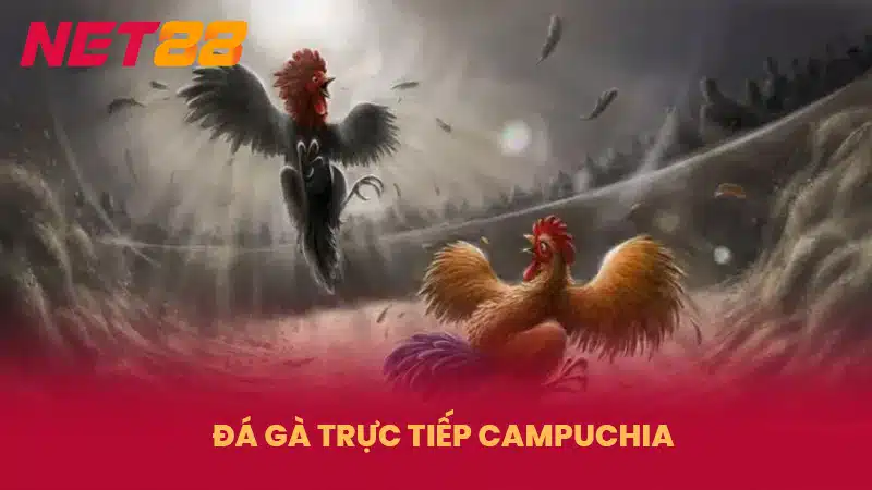 Đá Gà Trực Tiếp Campuchia - Thăng Hoa Cùng Các Kê Thủ