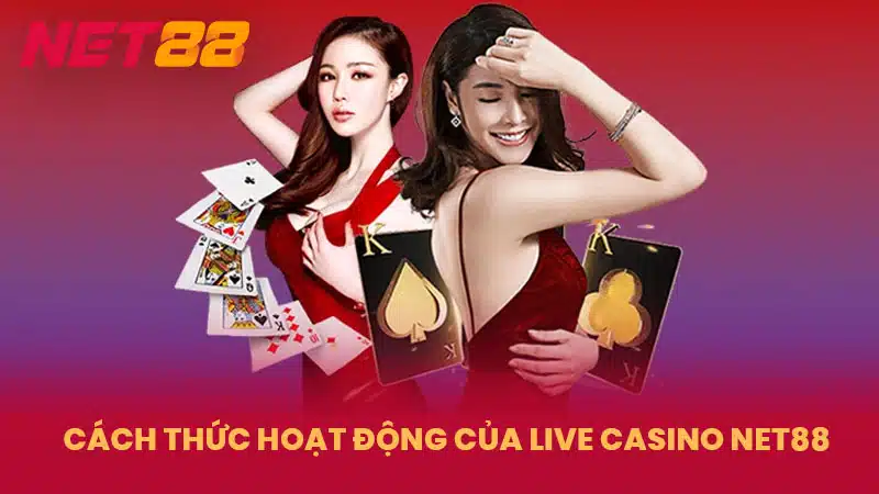 Cách thức hoạt động của Live Casino NET88