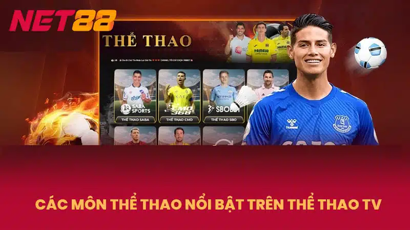 Các môn thể thao nổi bật trên thể thao TV