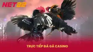 Trực Tiếp Đá Gà Casino - Những Trận Đấu Hấp Dẫn Tại NET88