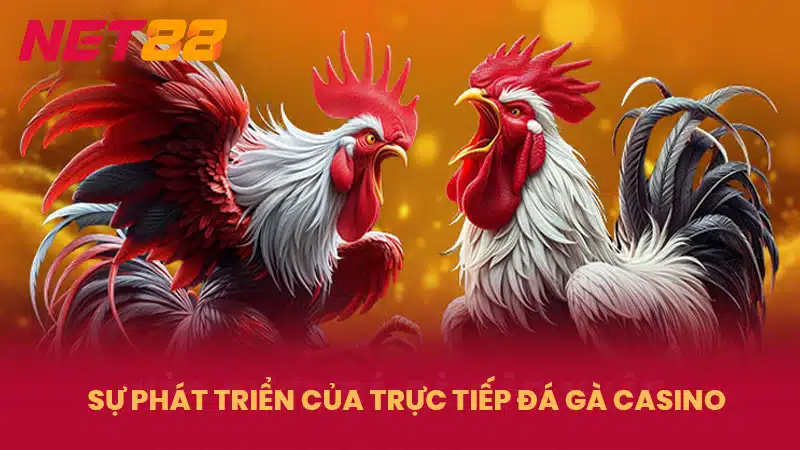 Sự phát triển của trực tiếp đá gà casino