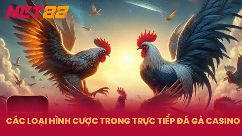 Các loại hình cược trong trực tiếp đá gà casino